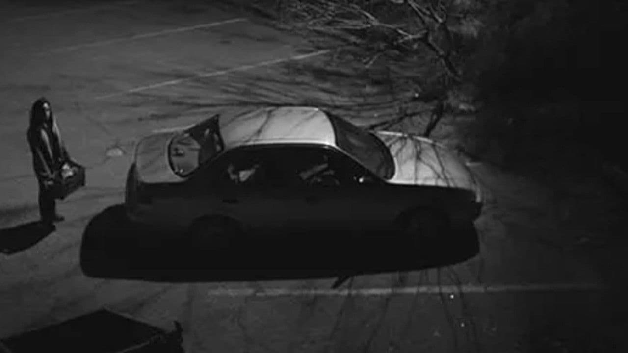 Poster backdrop for Amalia