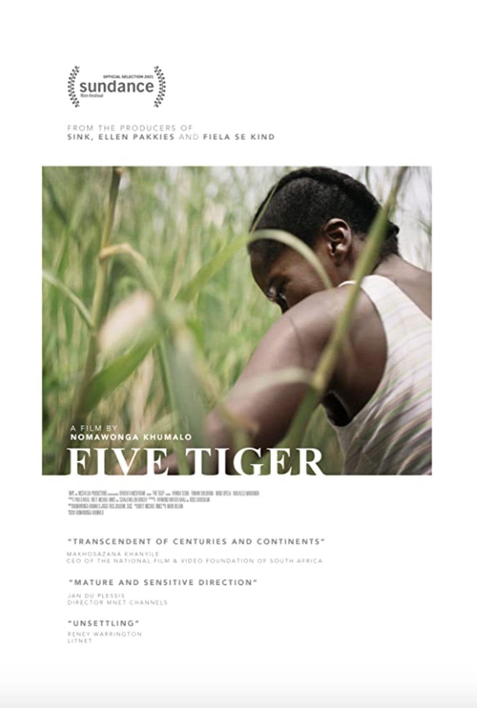 Poster backdrop for Five Tiger