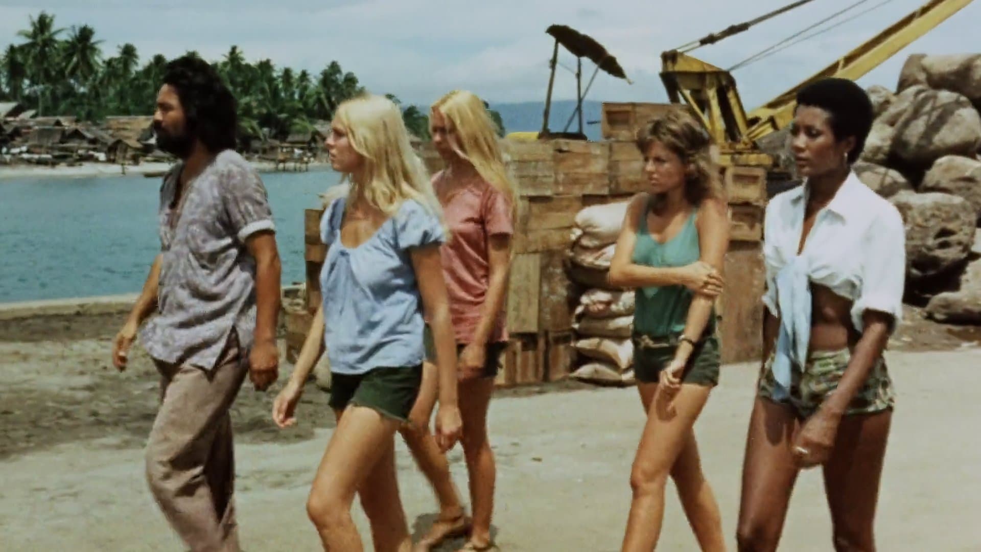 Poster backdrop for The Hot Box