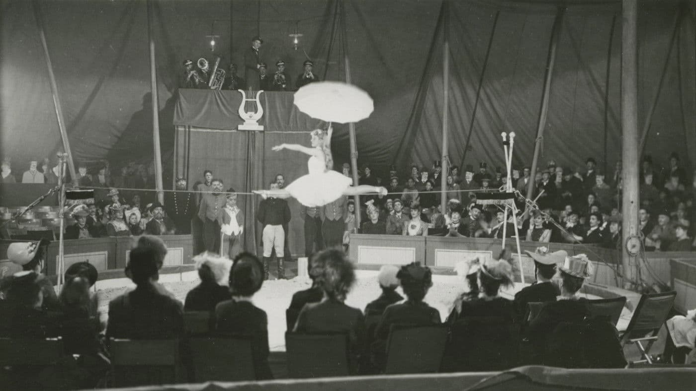 Poster backdrop for Elvira Madigan