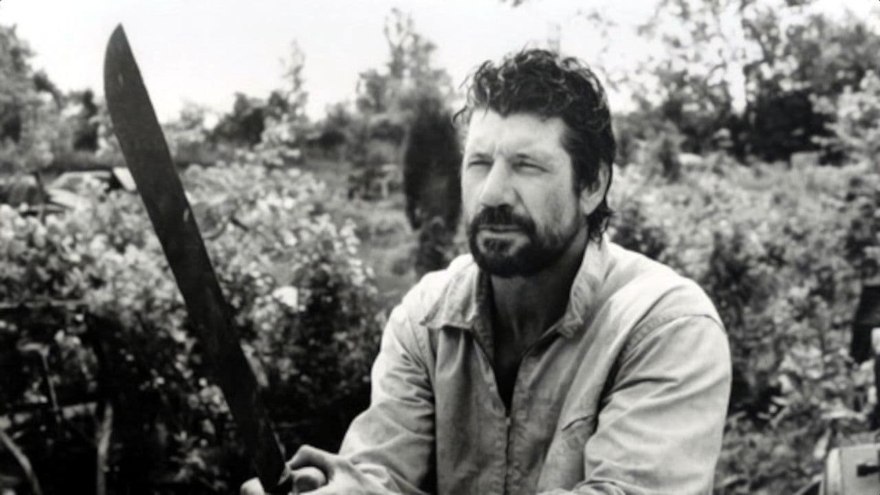 Poster backdrop for Florida Straits