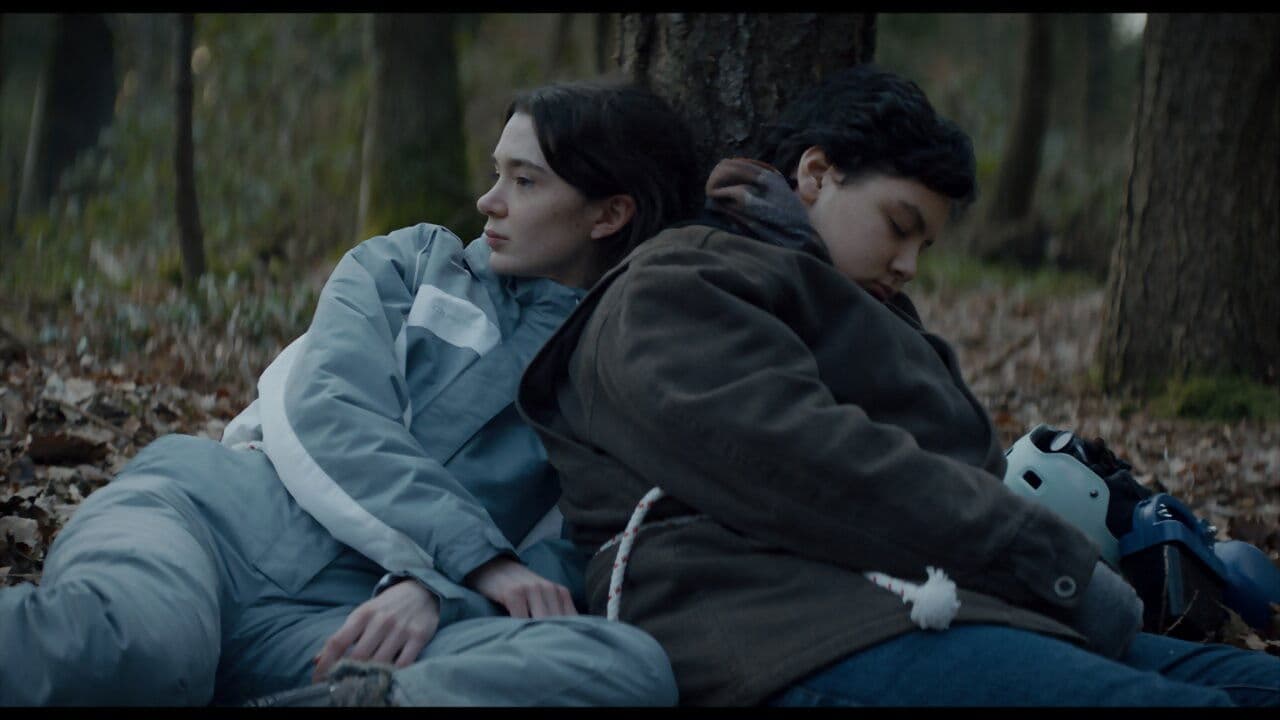 Poster backdrop for Little Bear