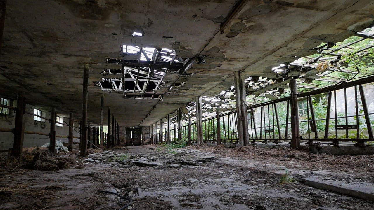 Poster backdrop for The End of Meat