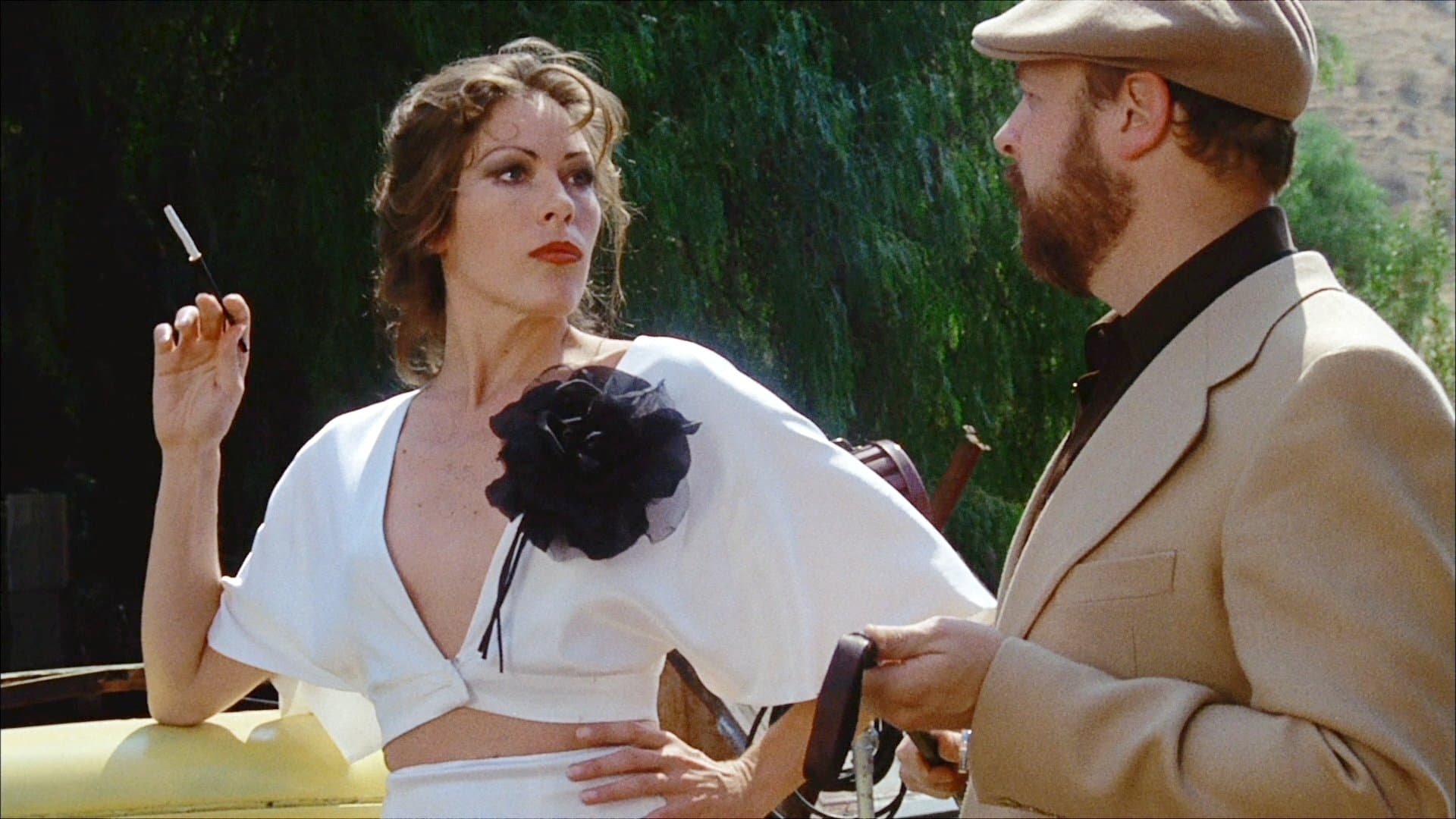 Poster backdrop for Hollywood Boulevard