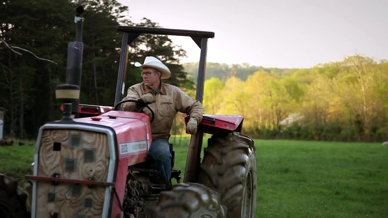 Poster backdrop for Poverty, Inc.