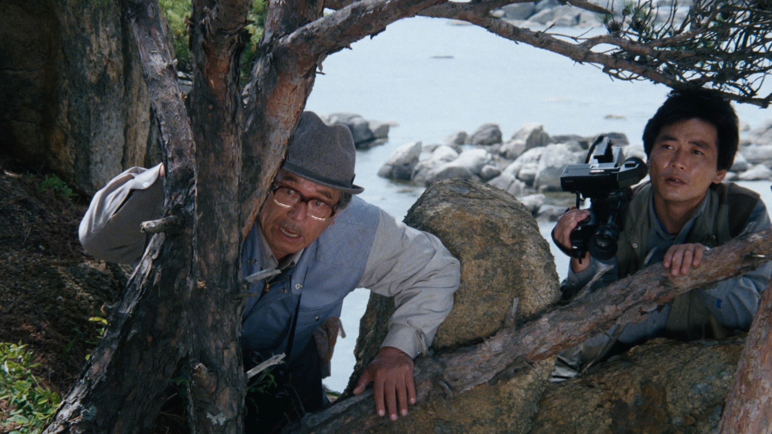 Poster backdrop for Birds