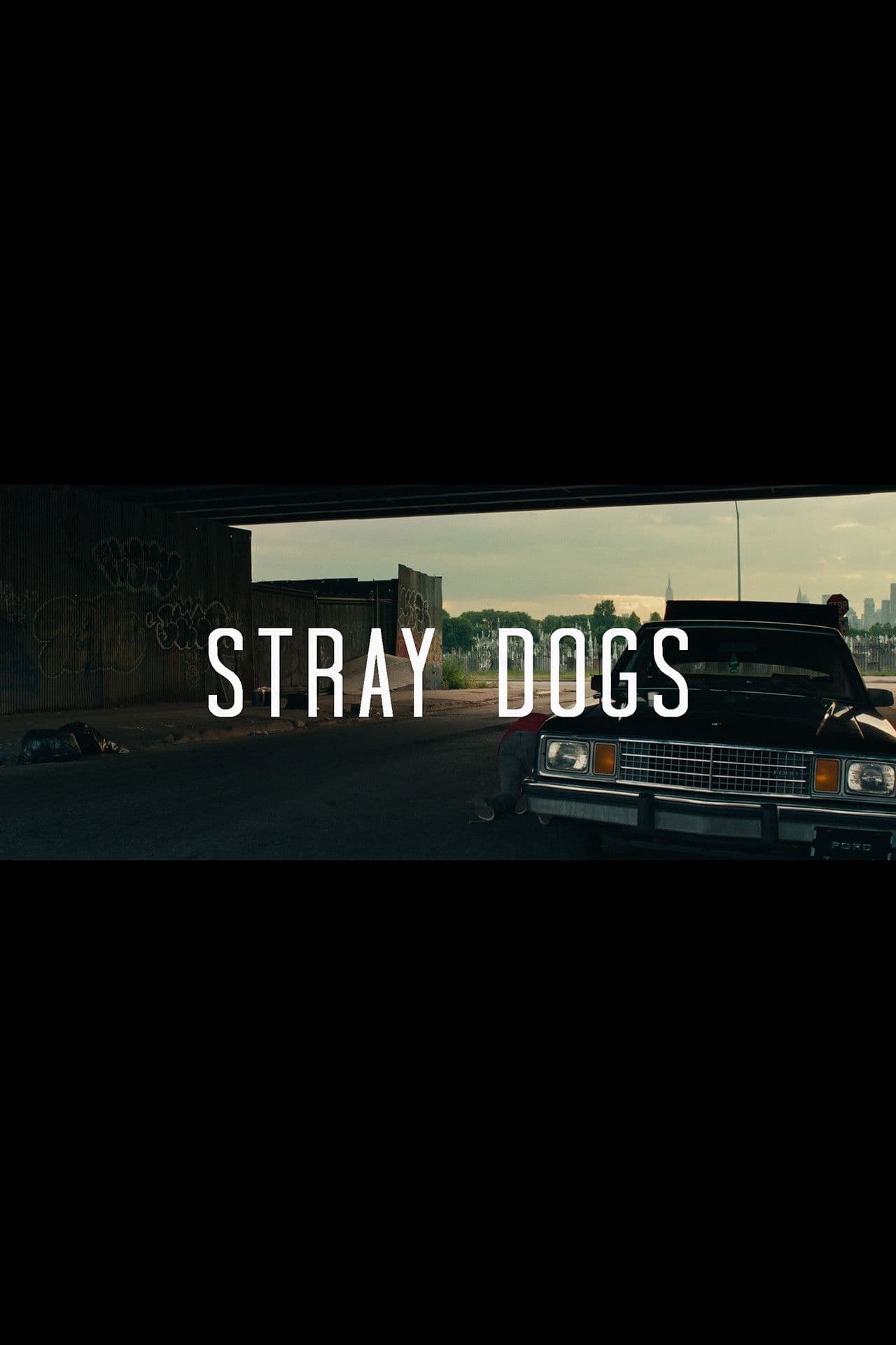 Poster backdrop for Stray Dogs
