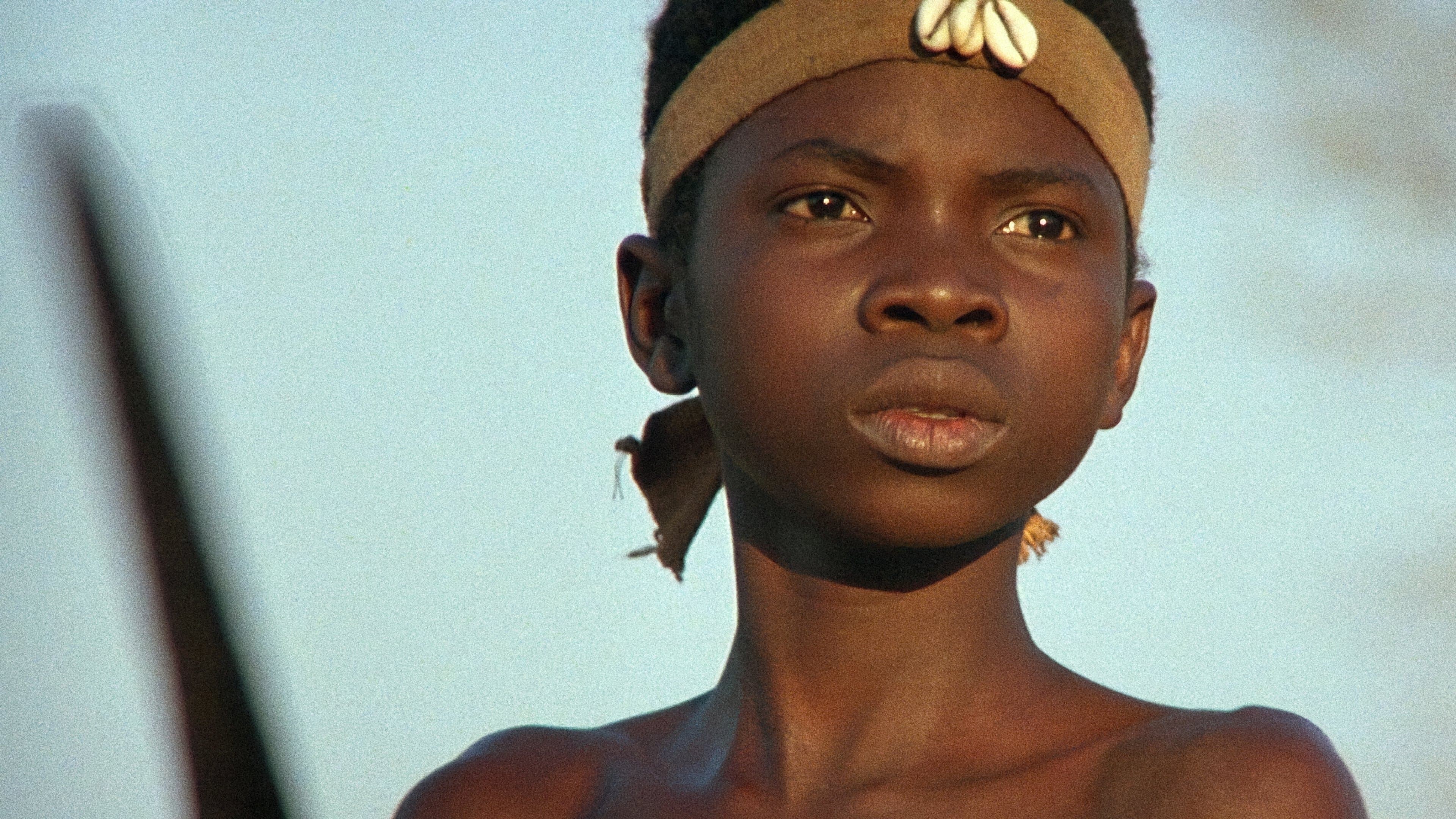 Poster backdrop for The Lion Child