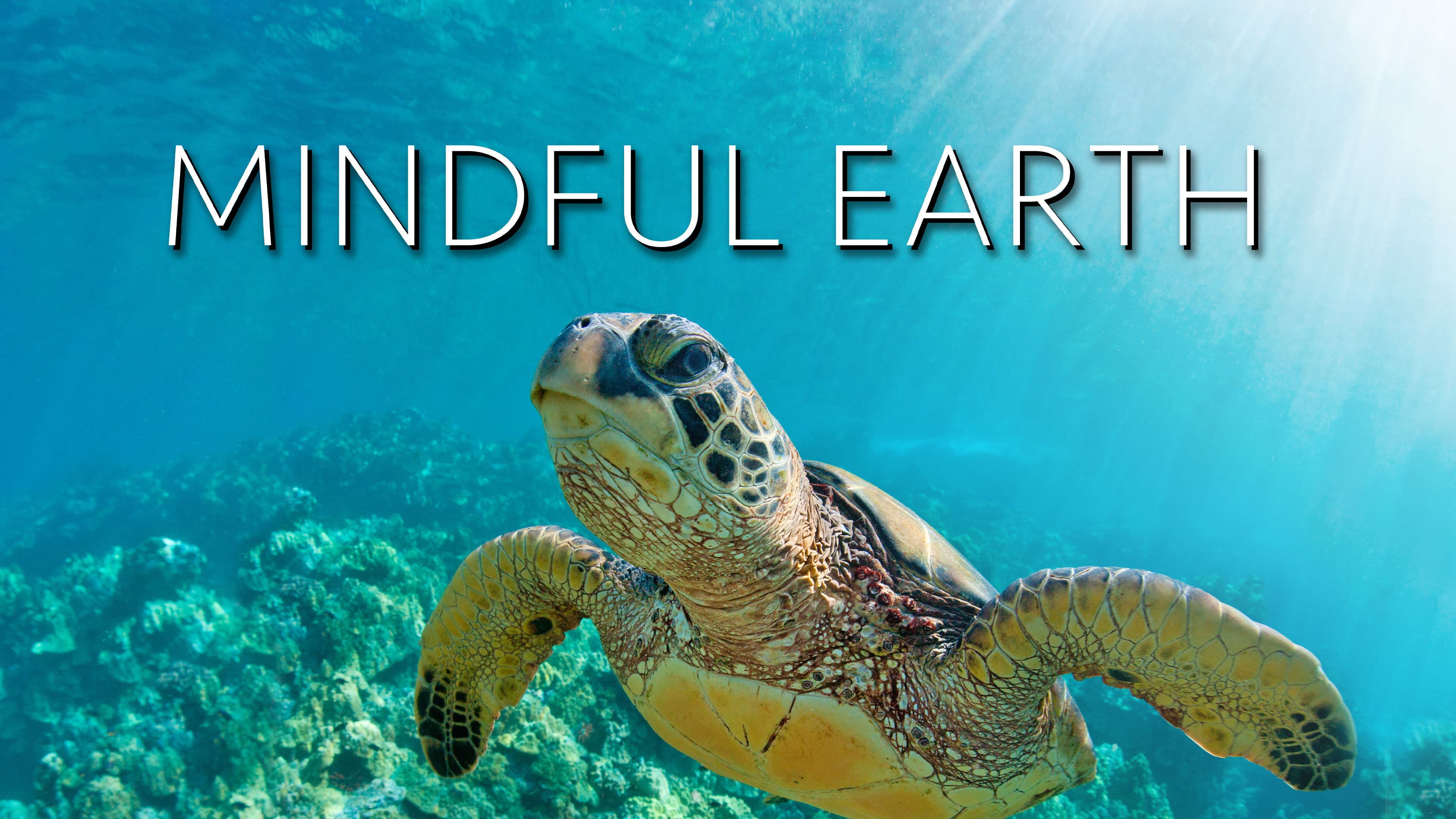 Poster backdrop for Mindful Earth