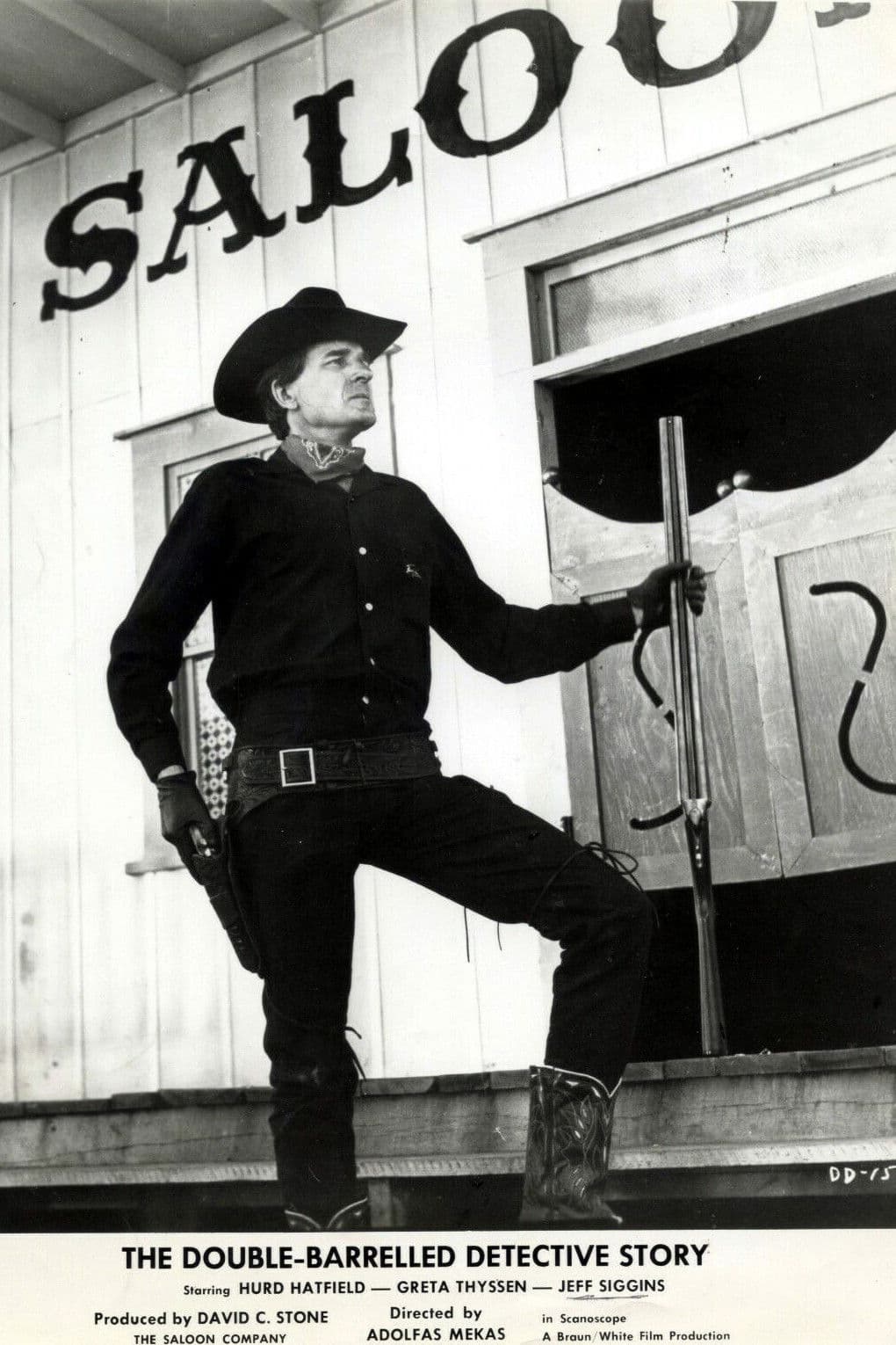 Poster backdrop for The Double-Barrelled Detective Story