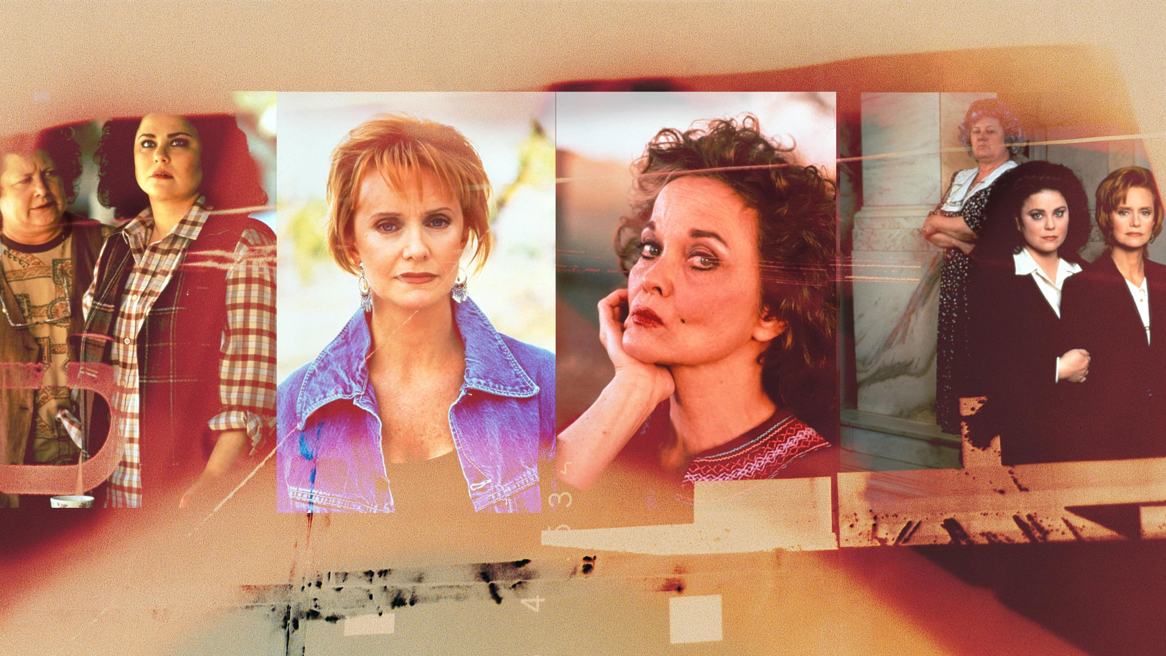 Poster backdrop for A Promise to Carolyn