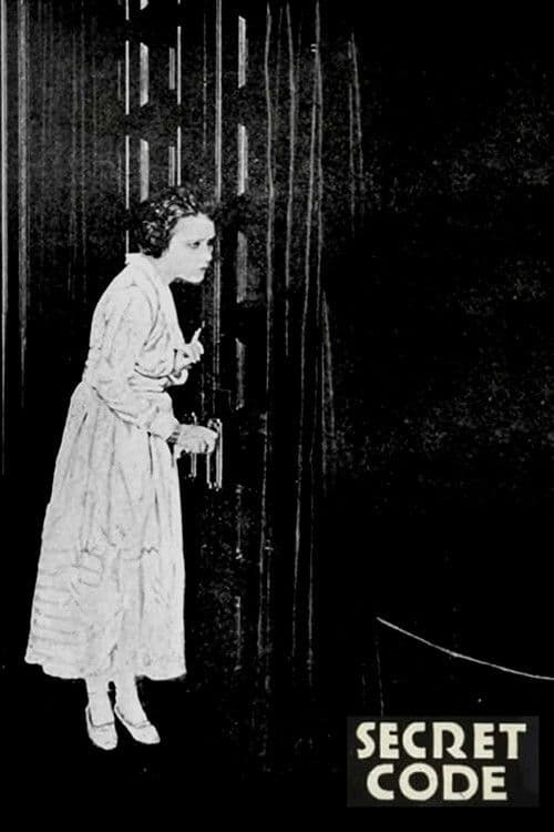 Poster backdrop for The Secret Code