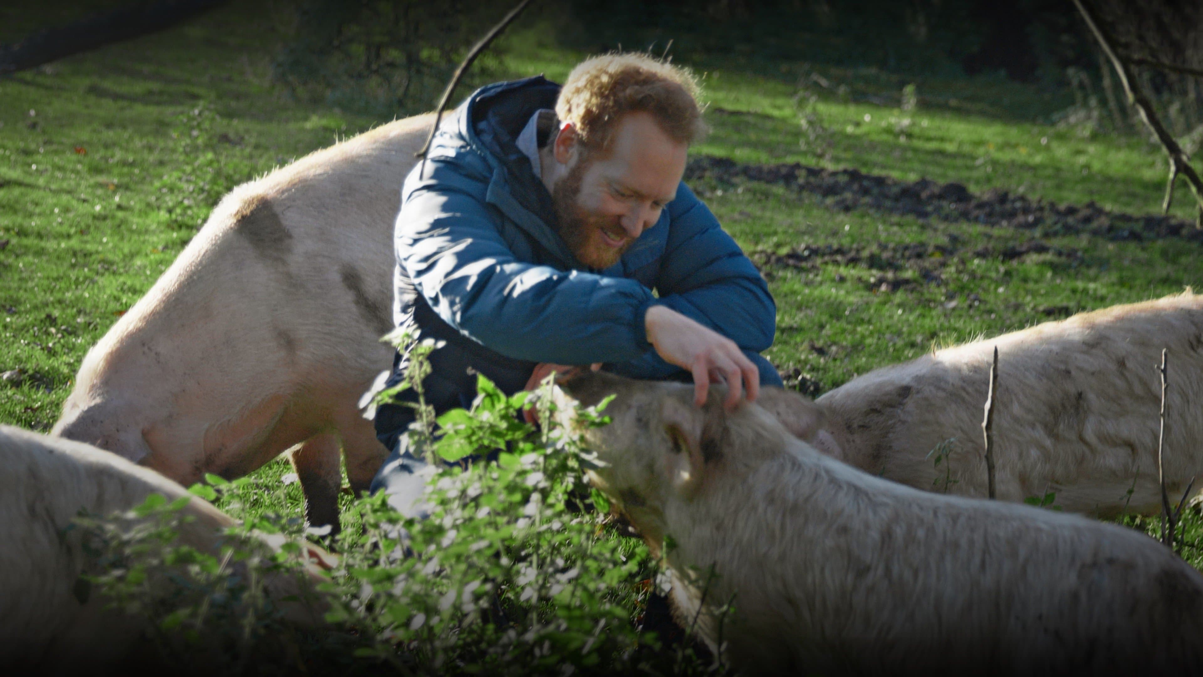 Poster backdrop for I Could Never Go Vegan