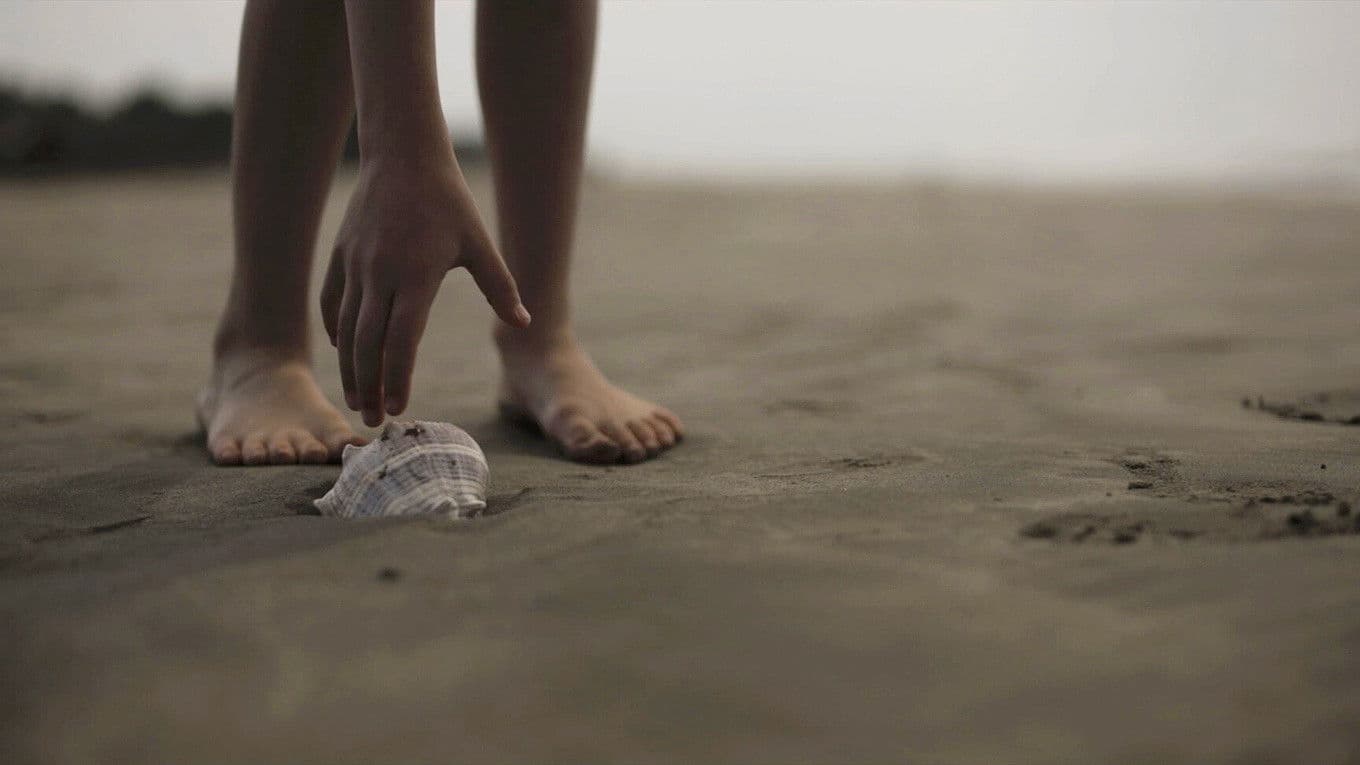 Poster backdrop for Atardeceres