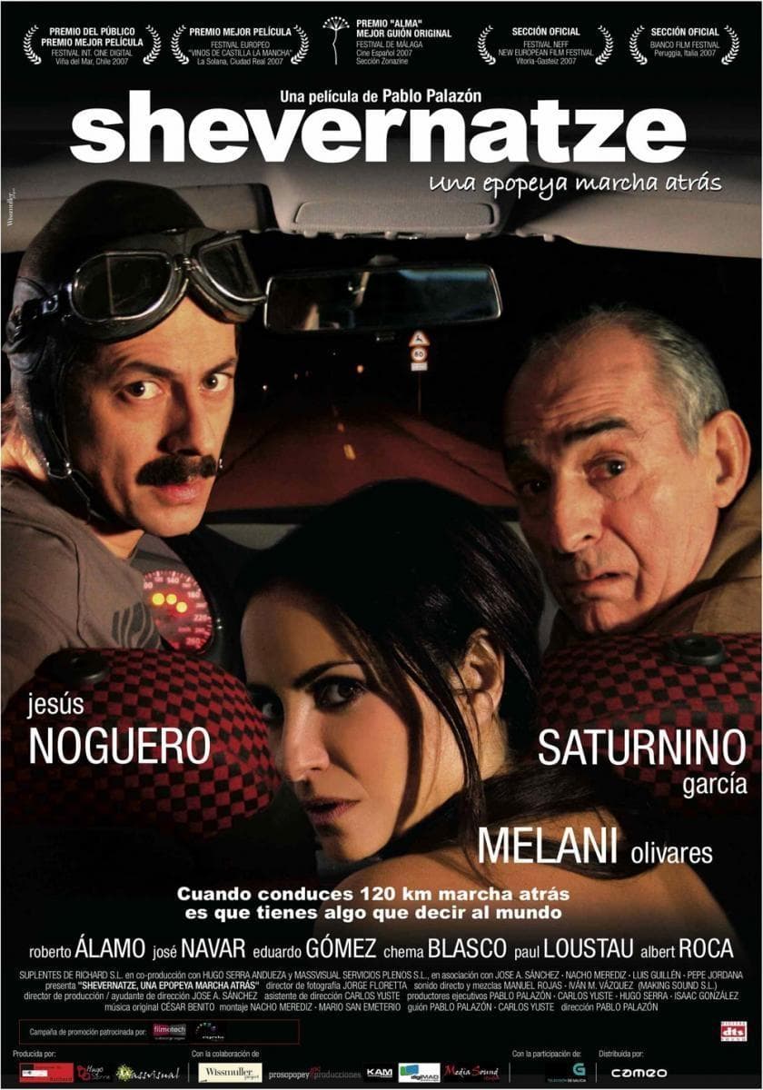 Poster backdrop for Shevernatze, una epopeya marcha atrás