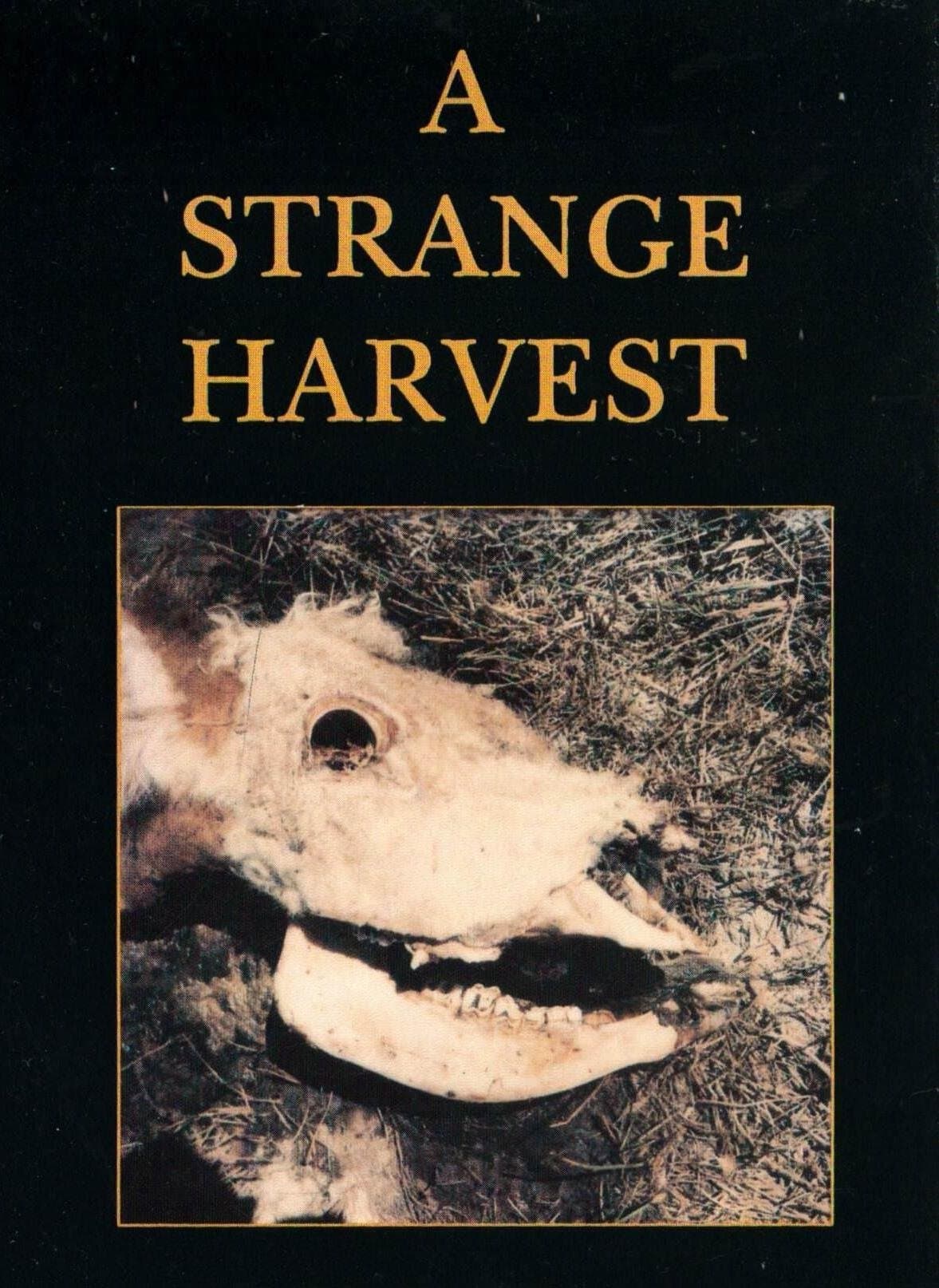 Poster backdrop for A Strange Harvest