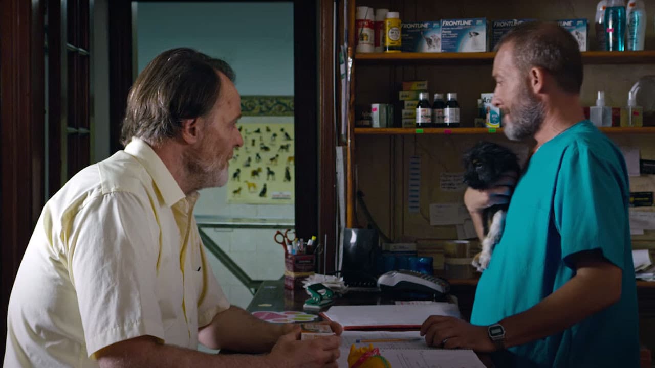 Poster backdrop for Seven Dogs