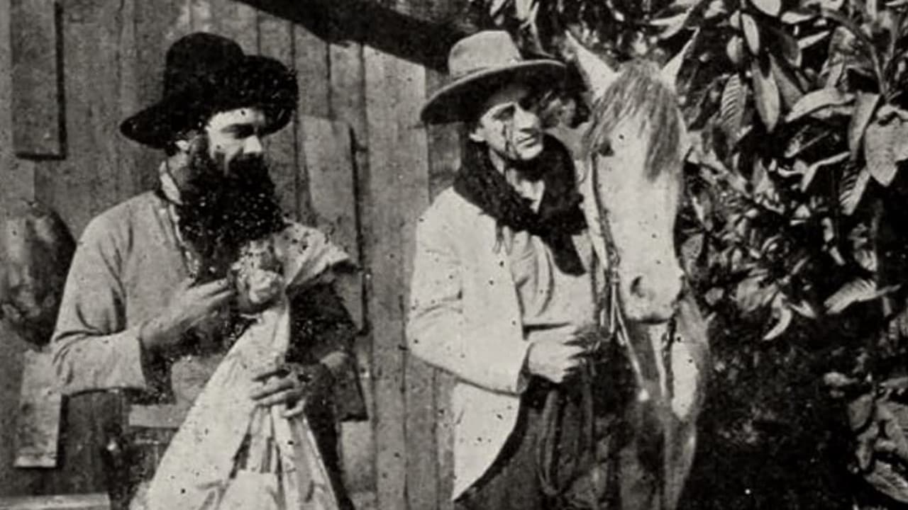 Poster backdrop for Stingaree