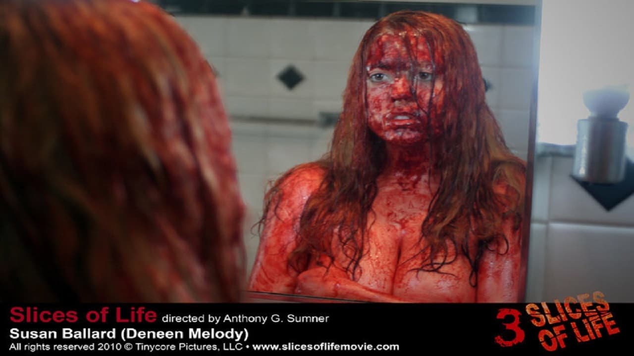 Poster backdrop for Slices of Life