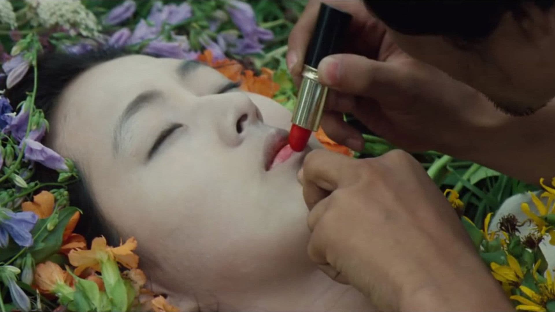 Poster backdrop for Declaration of Fools