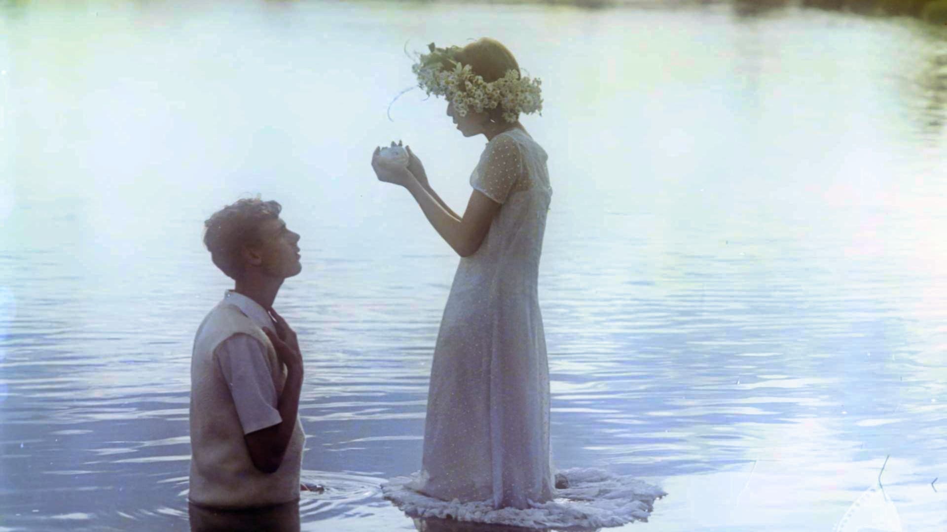 Poster backdrop for Chronicle of Amorous Accidents