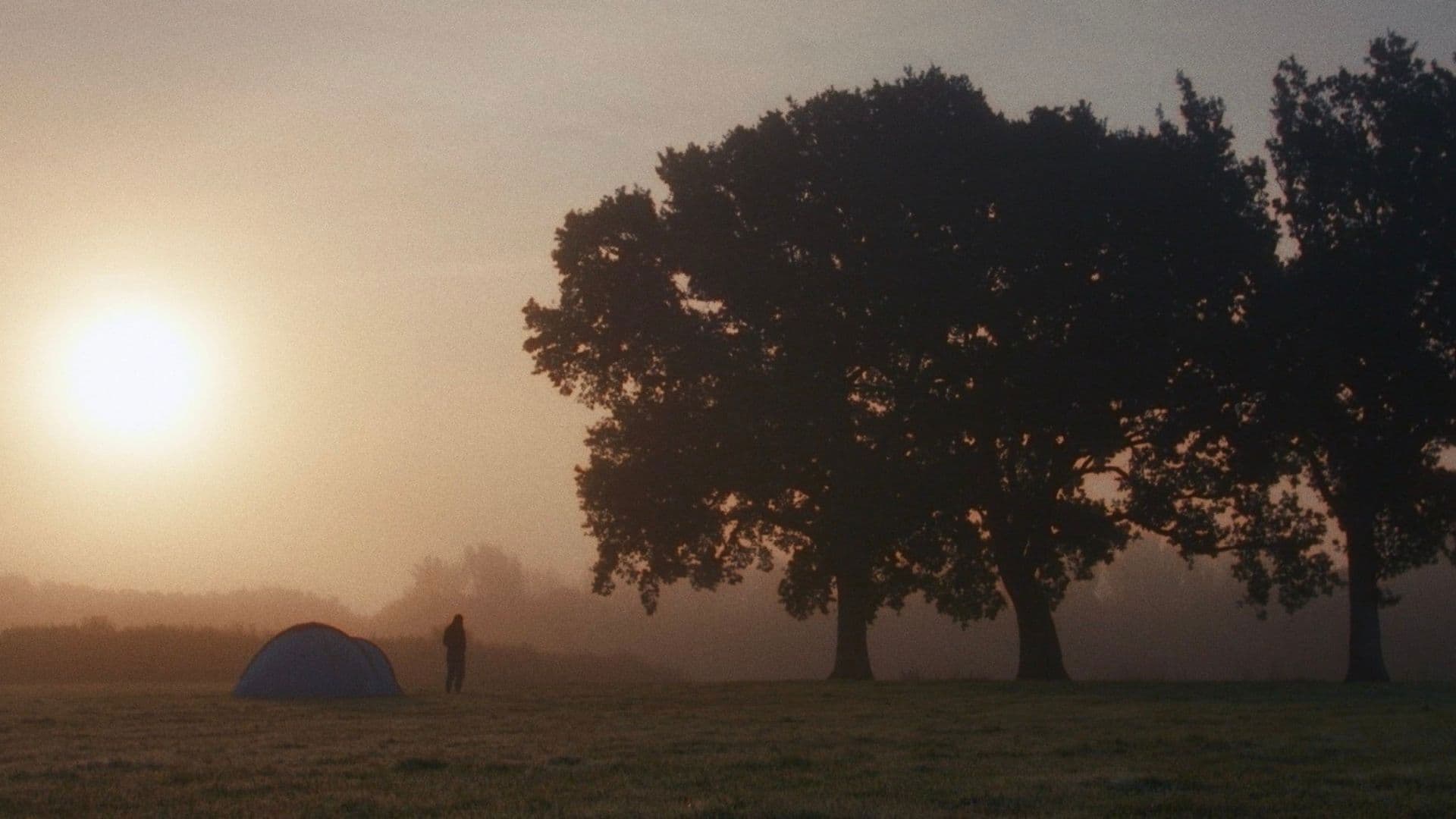 Poster backdrop for Gates