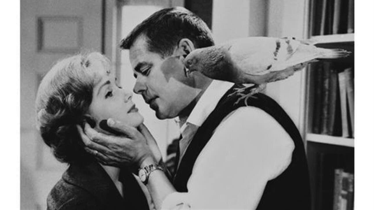 Poster backdrop for The Gazebo