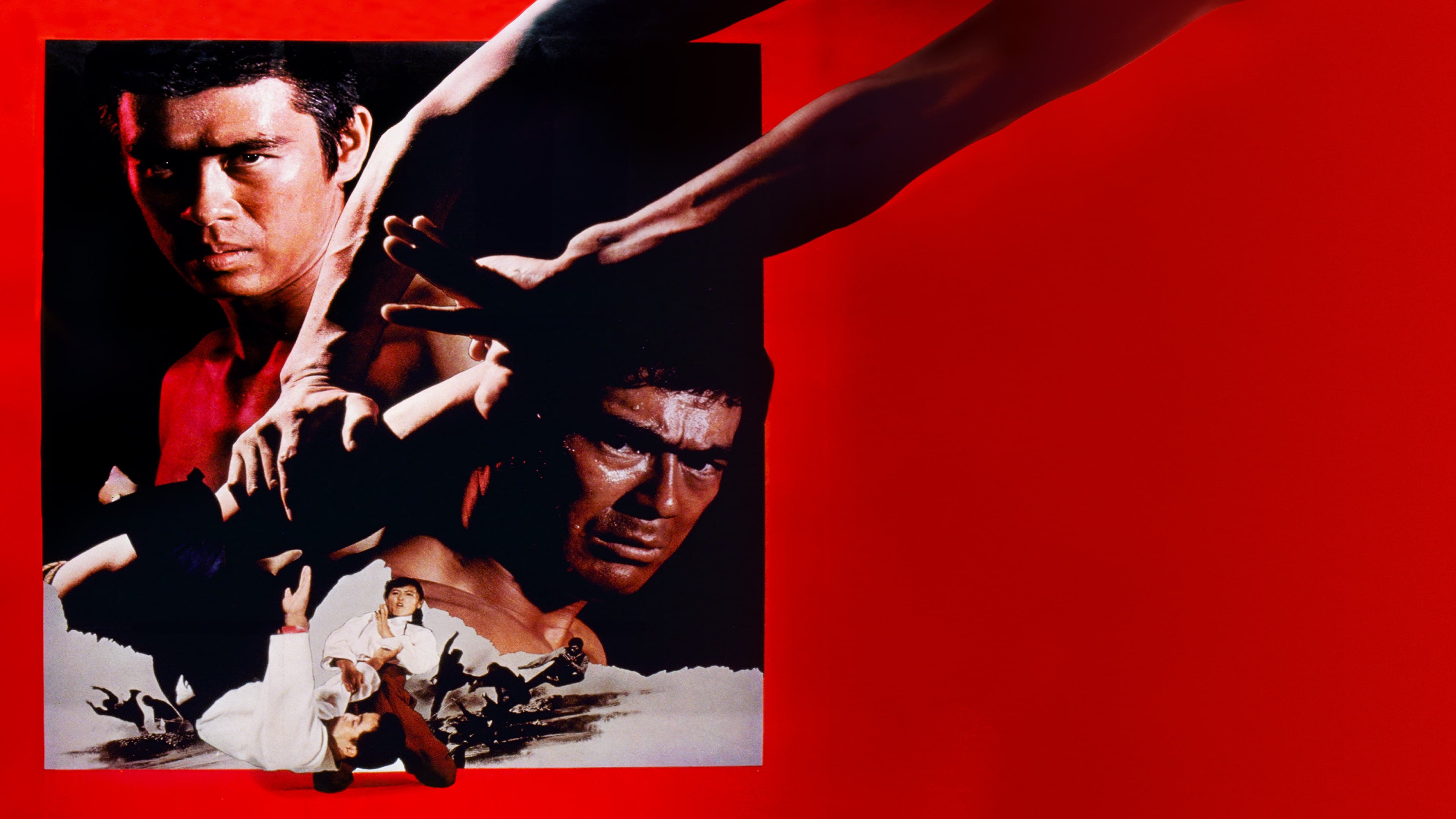 Poster backdrop for The Decisive Power of Aikido