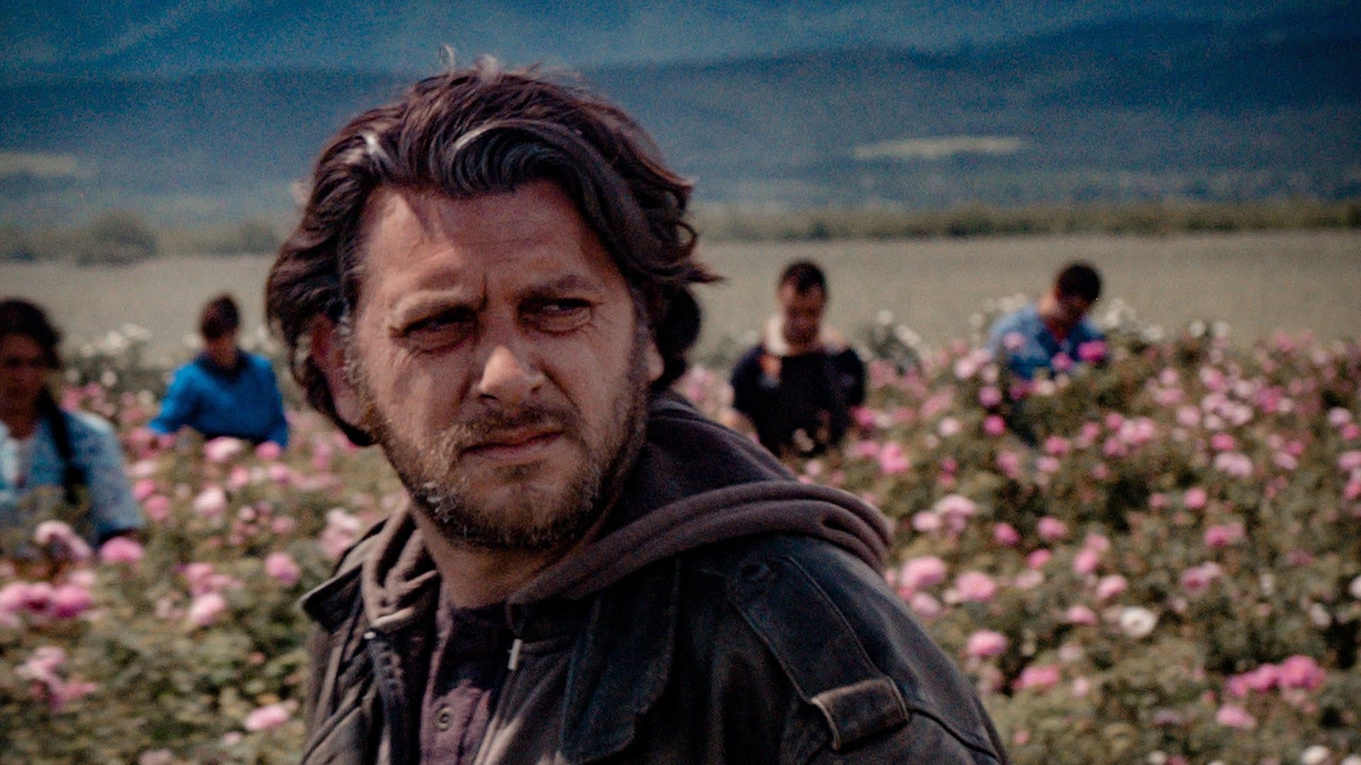 Poster backdrop for Damascena