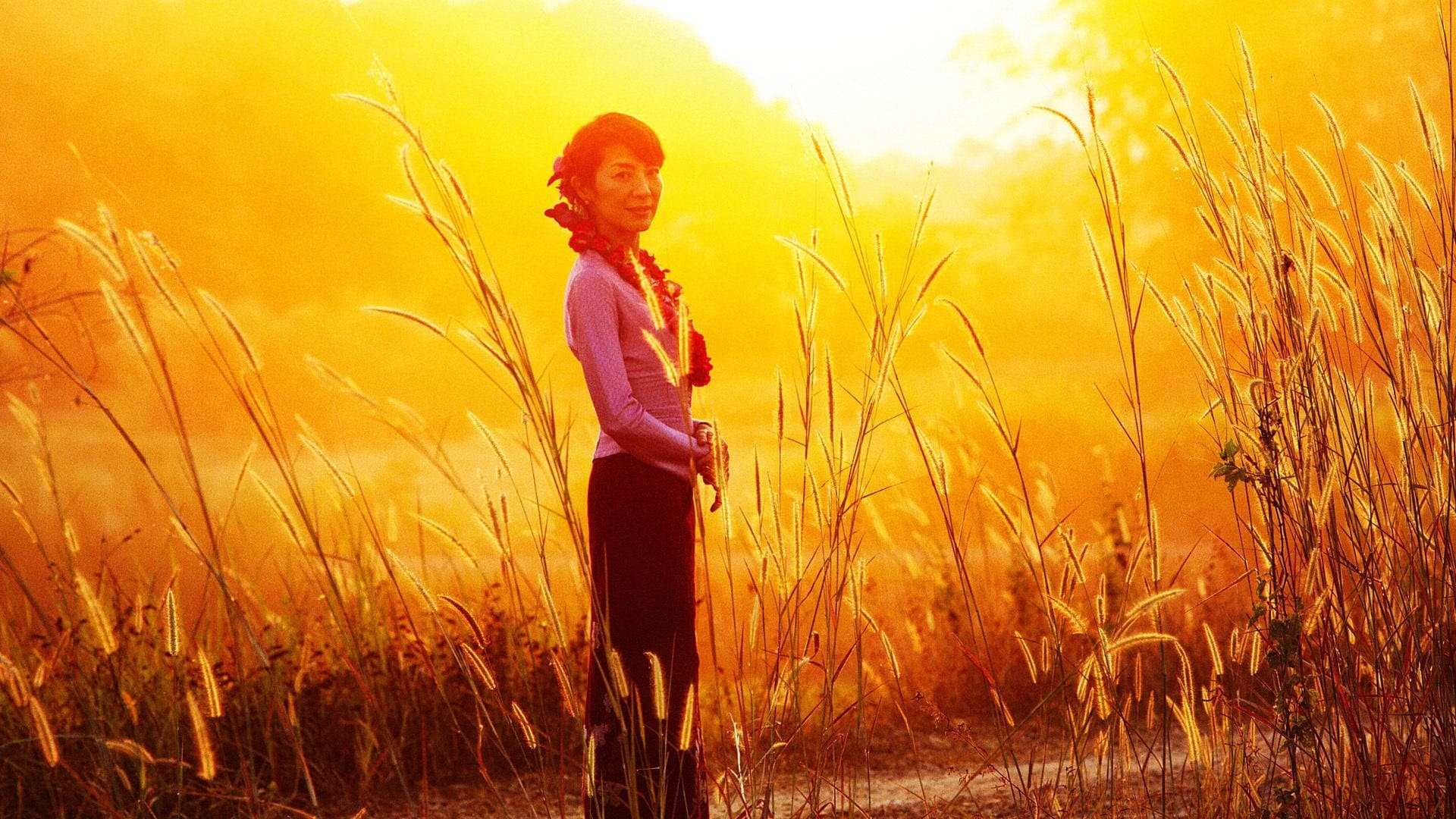 Poster backdrop for The Lady