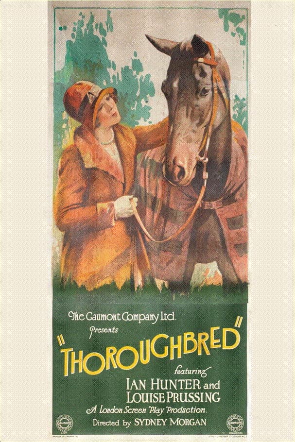 Poster backdrop for The Thoroughbred