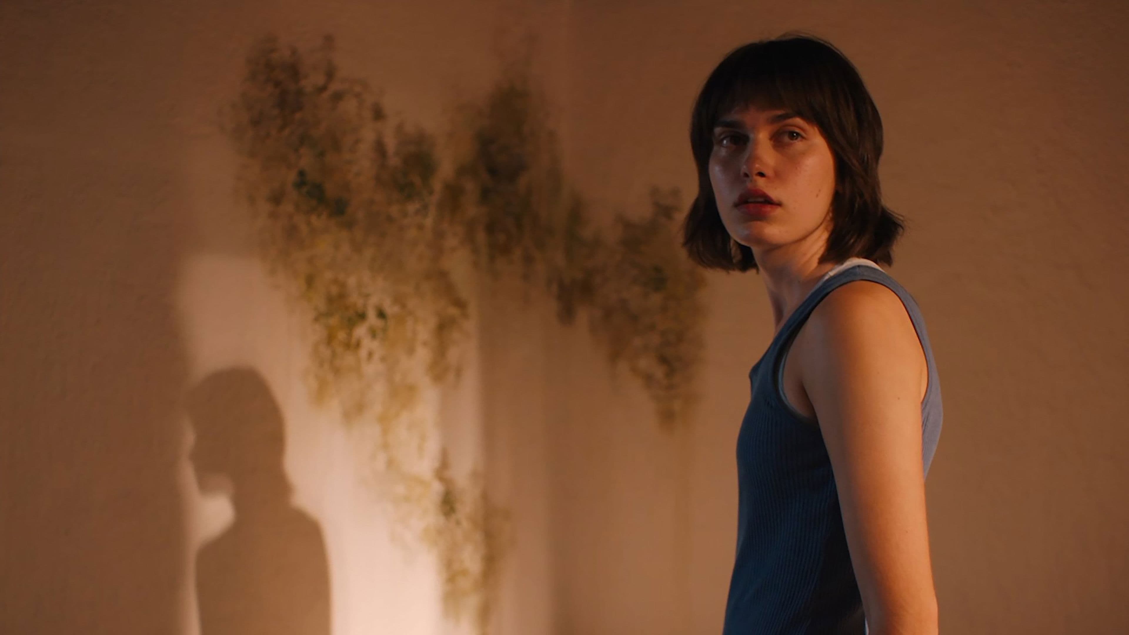 Poster backdrop for Riviera