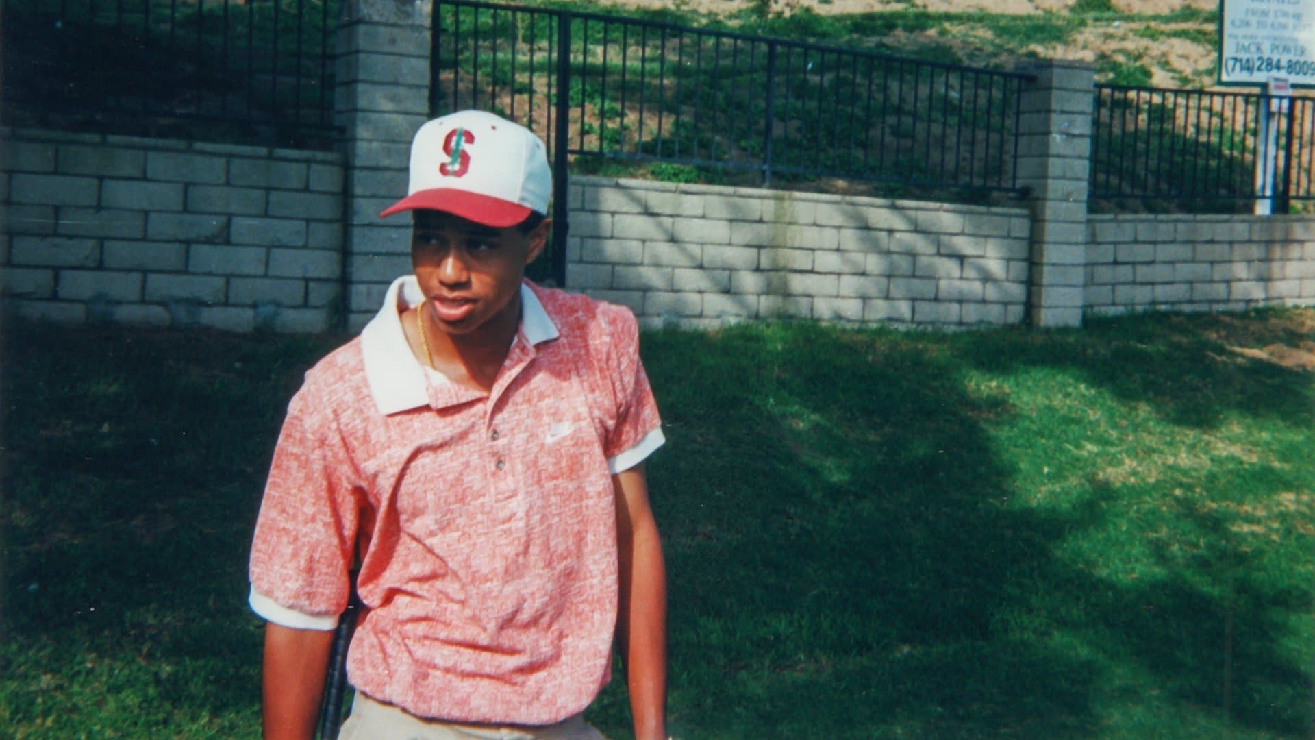 Poster backdrop for Tiger