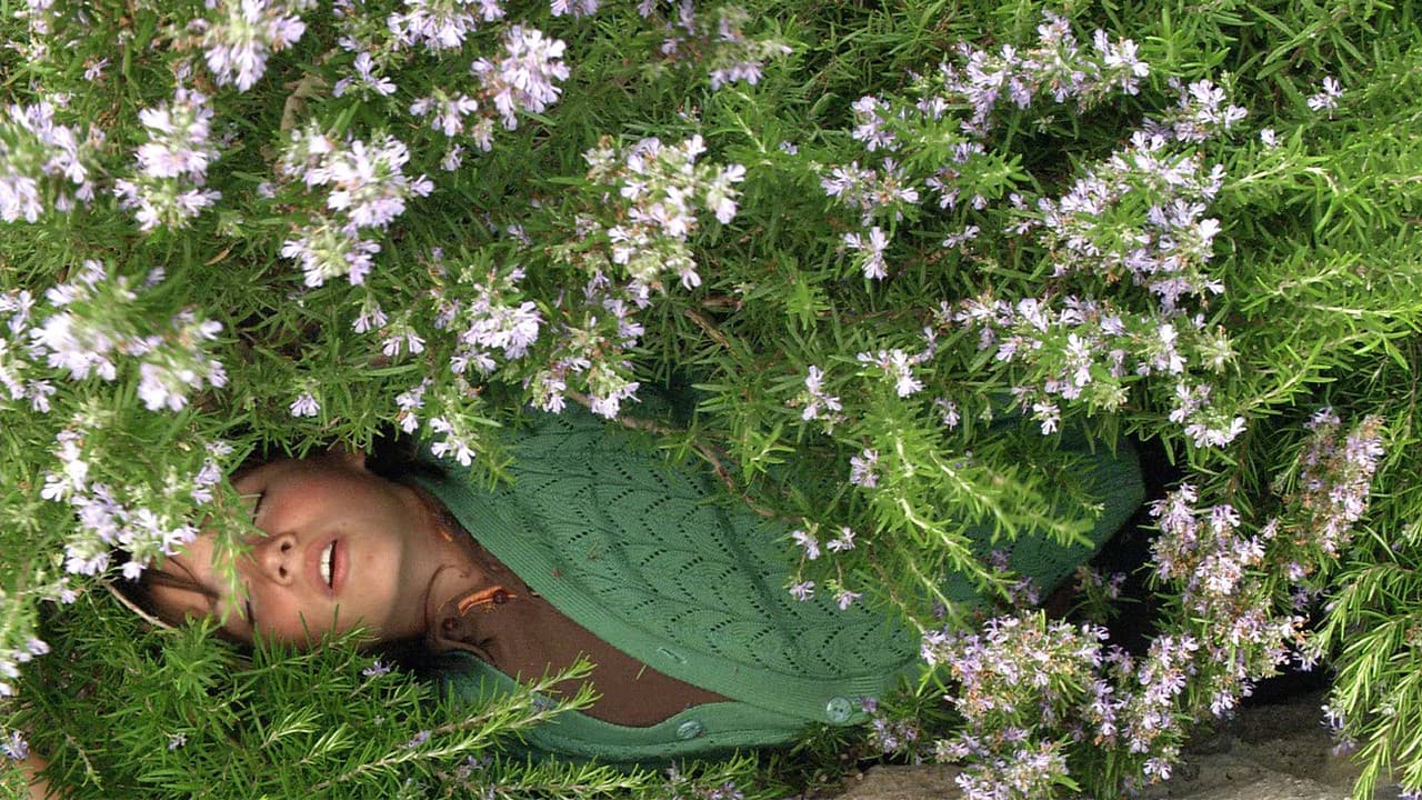 Poster backdrop for Times and Winds