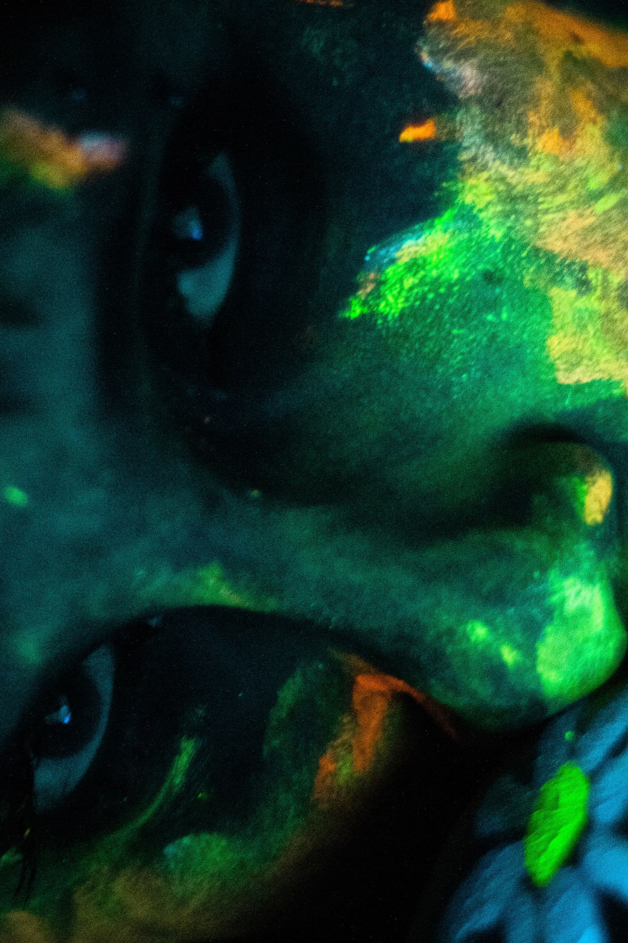 Poster backdrop for A cor do veneno