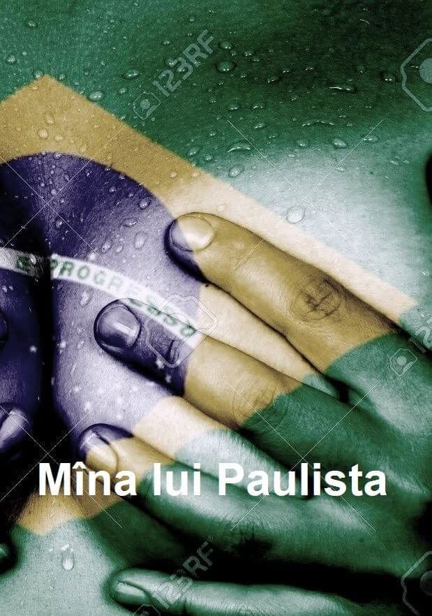 Poster backdrop for The Hand of Paulista