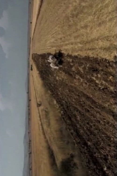 Poster backdrop for Years of Solitude