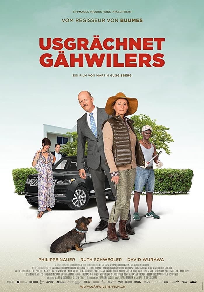 Poster backdrop for Meet The Gähwilers