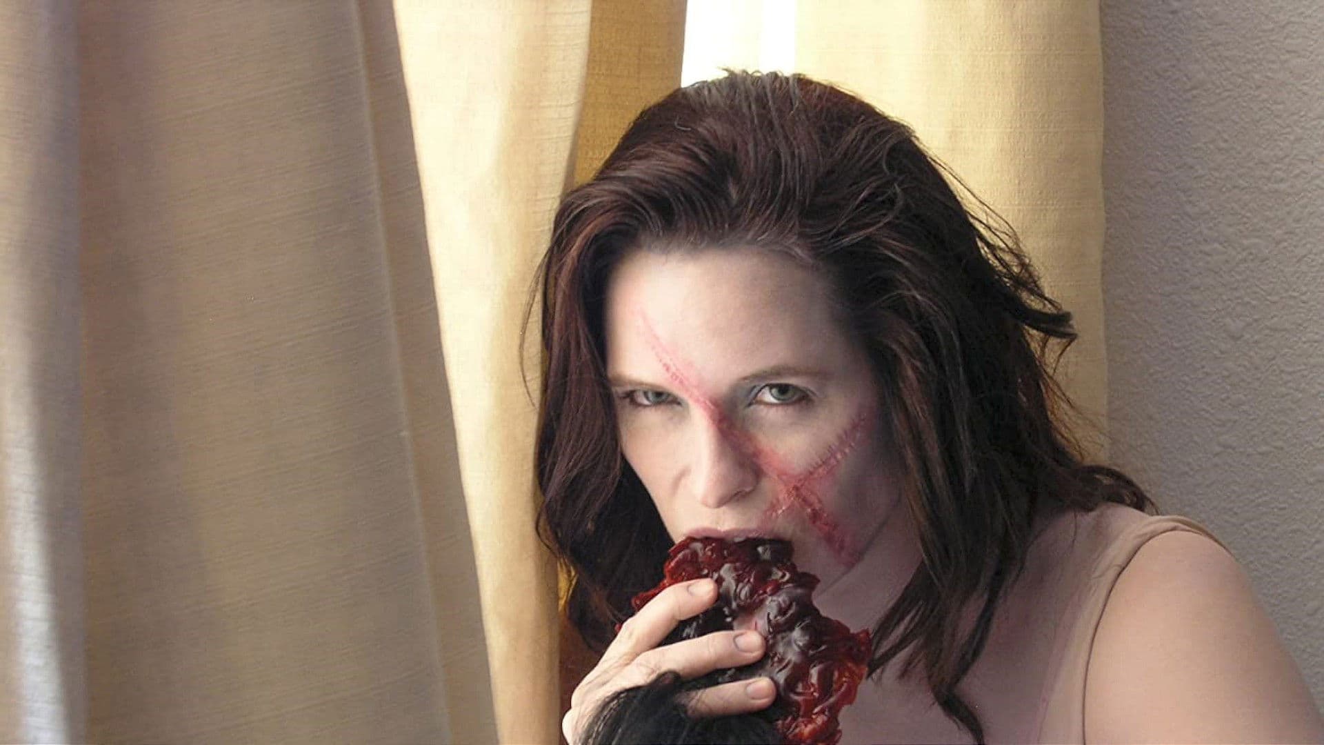 Poster backdrop for Night of the Dead: Leben Tod