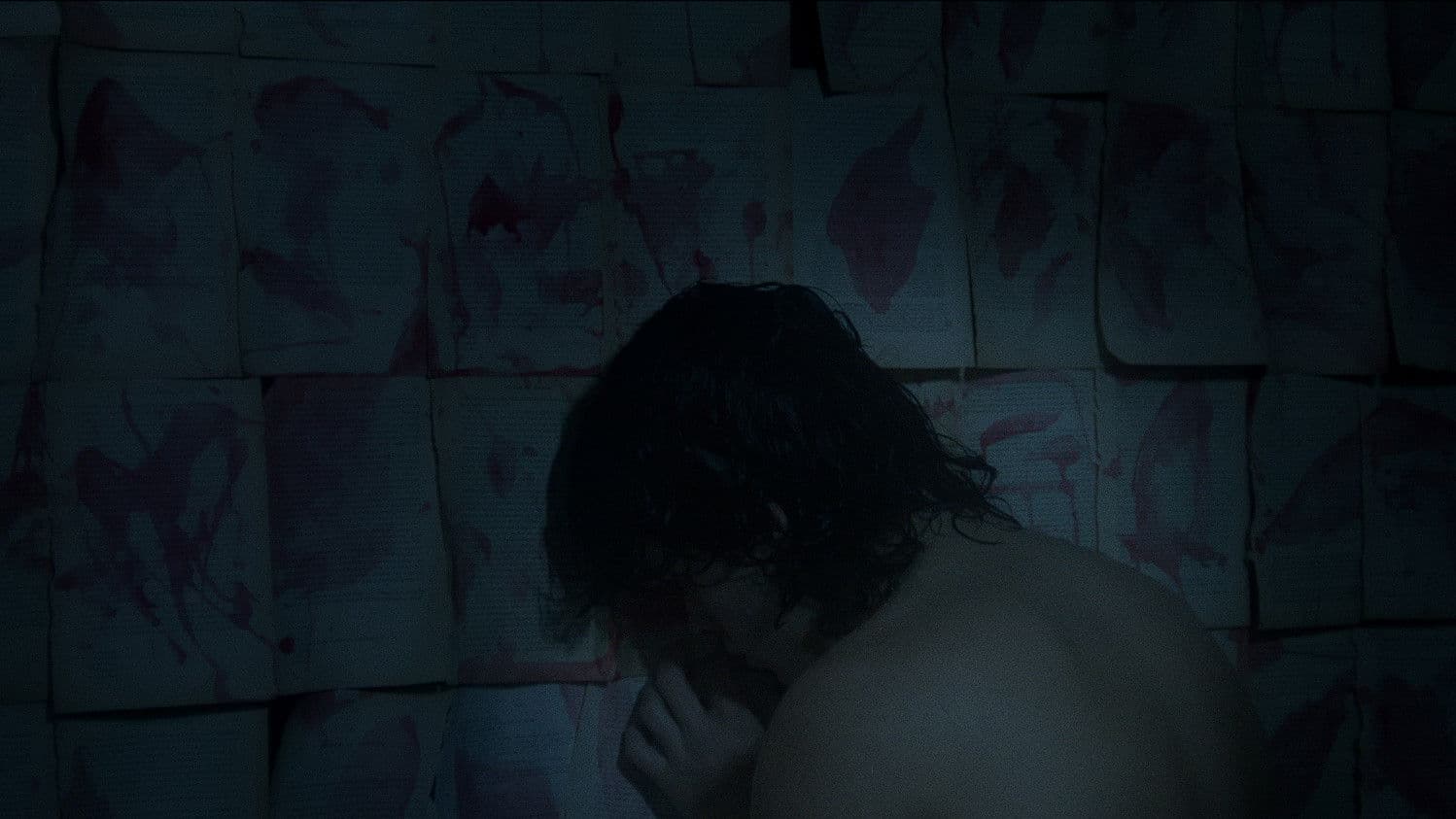 Poster backdrop for Llueve adentro