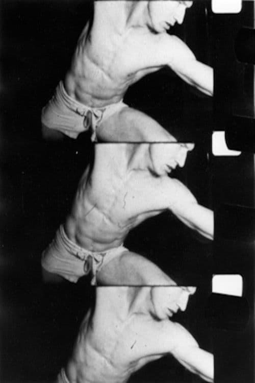 Poster backdrop for The Gymnasts