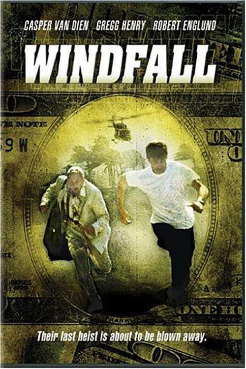 Poster backdrop for Windfall