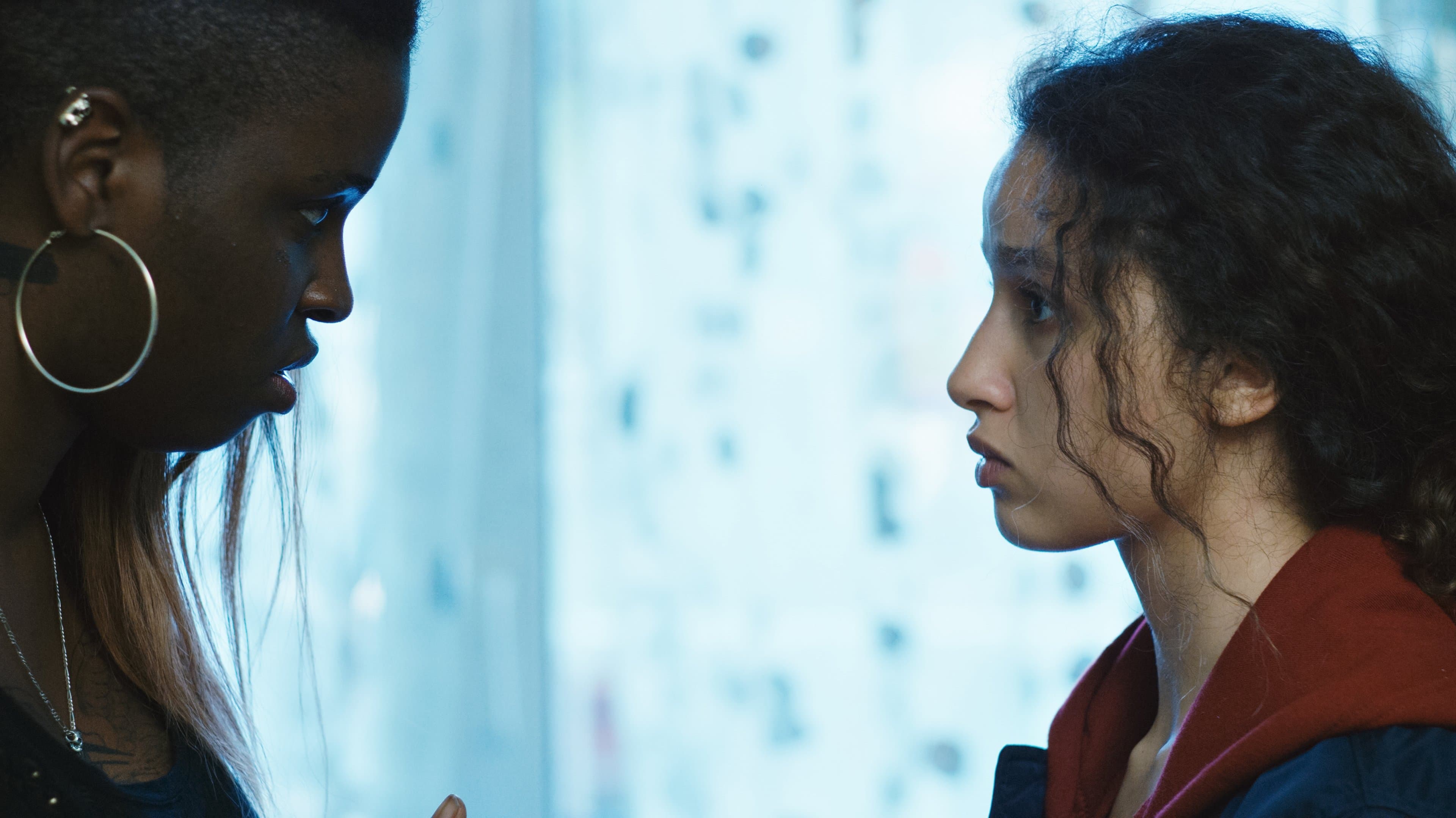 Poster backdrop for Divines