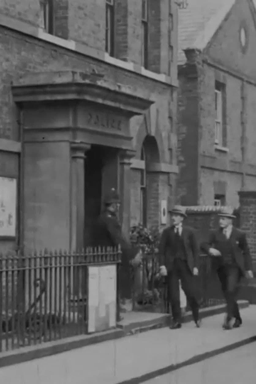 Poster backdrop for The Clue of the Pigtail