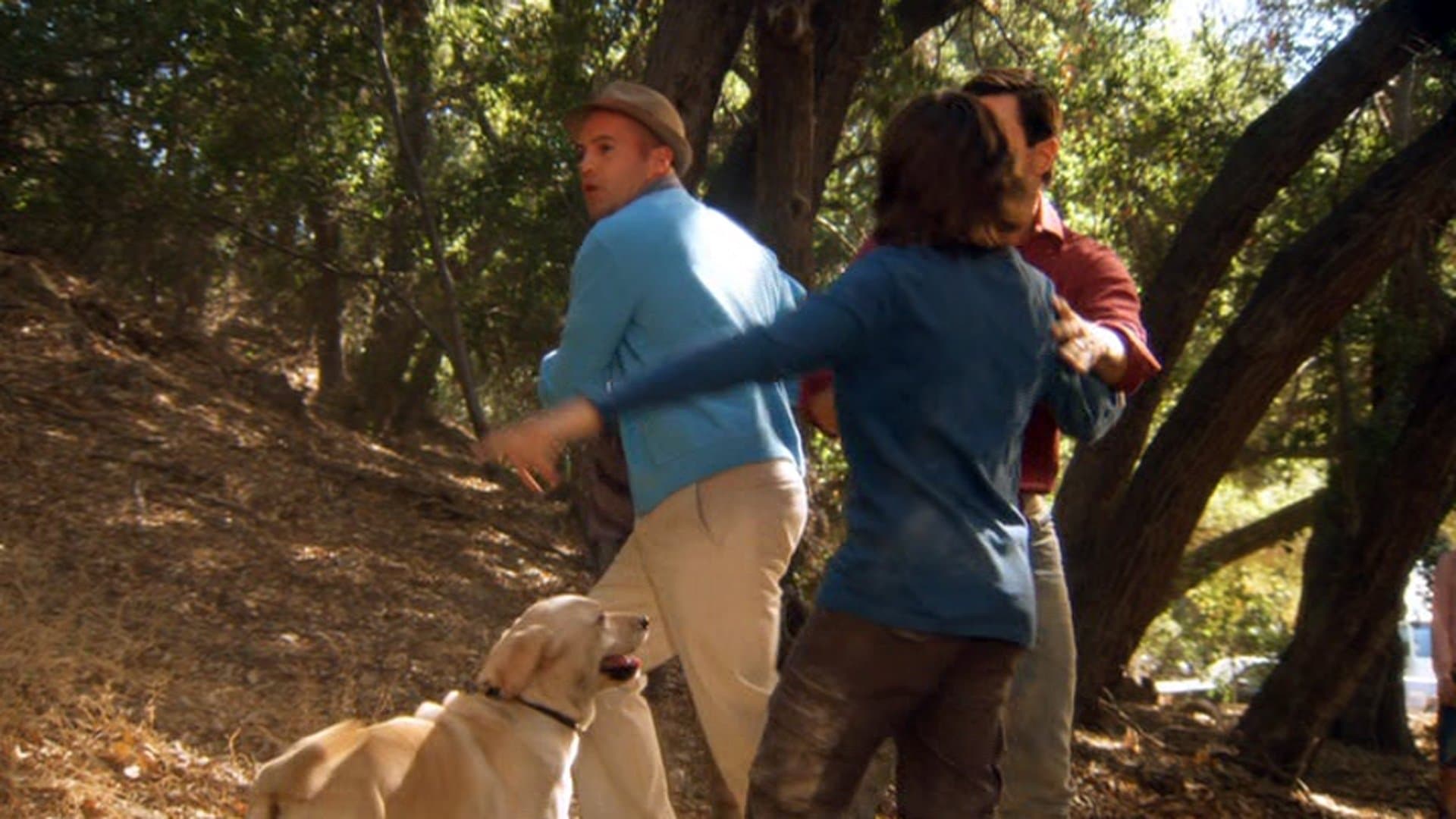 Poster backdrop for The Gold Retrievers
