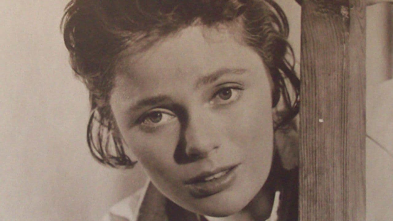 Poster backdrop for Two Men in Town