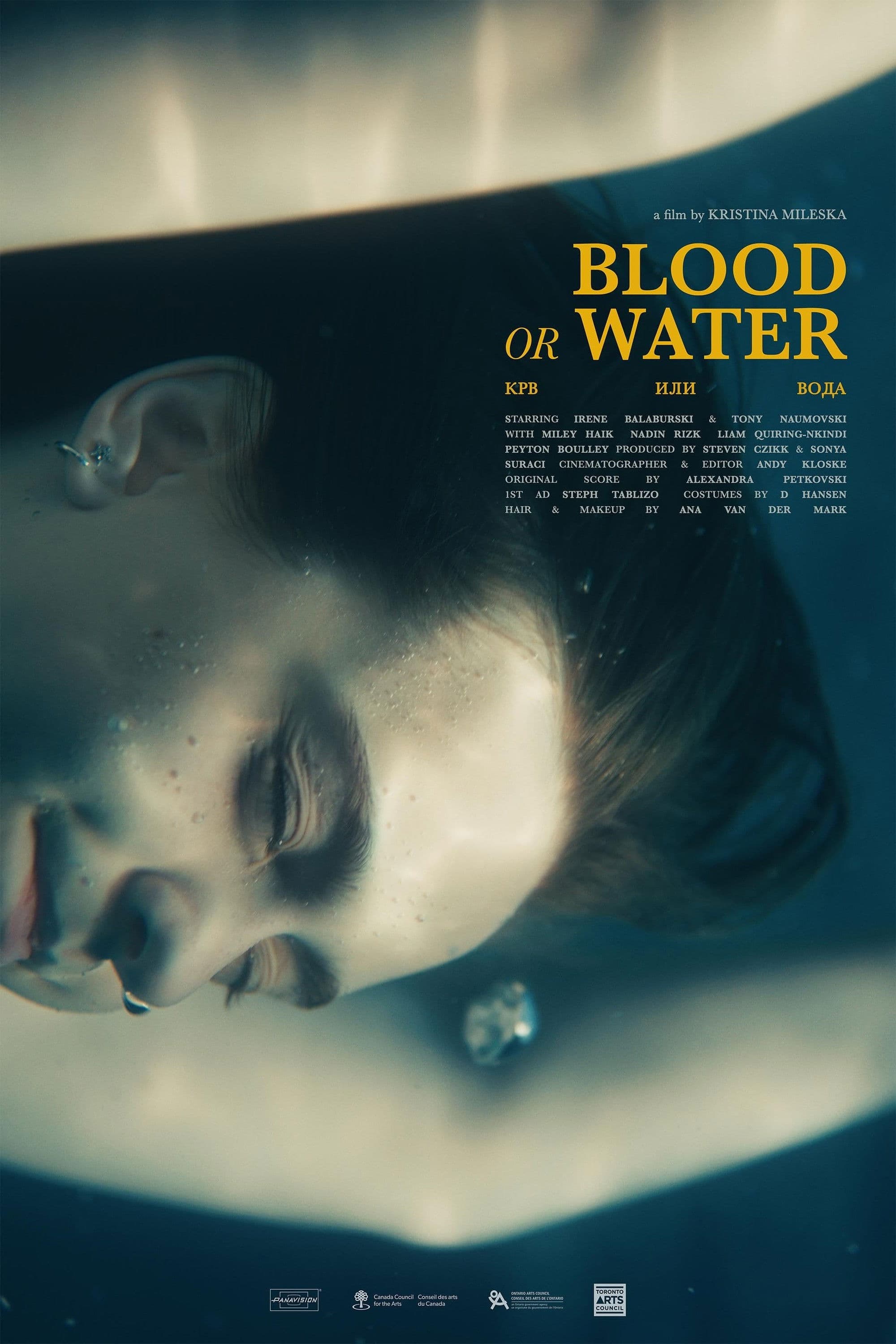 Poster backdrop for Blood or Water