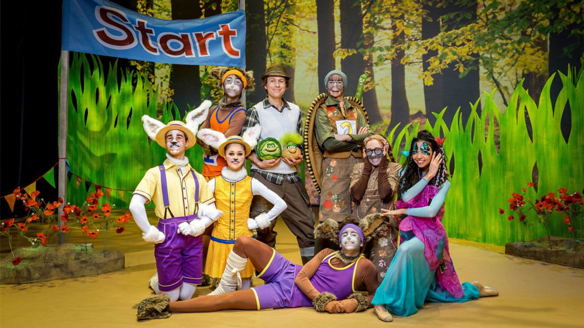 Poster backdrop for CBeebies Presents: The Tortoise and the Hare - A CBeebies Ballet