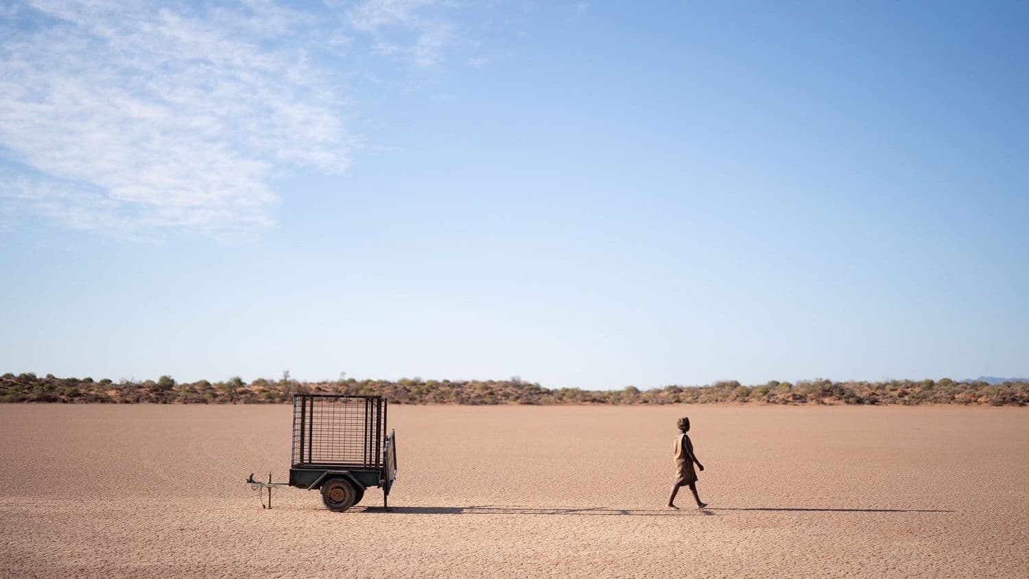 Poster backdrop for The Survival of Kindness