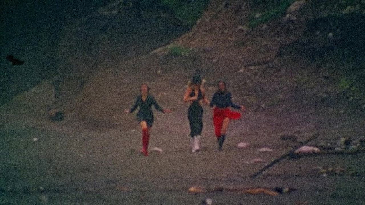 Poster backdrop for Fraulein Leather